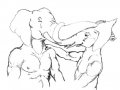 cs-elephant-affection-sm.jpg